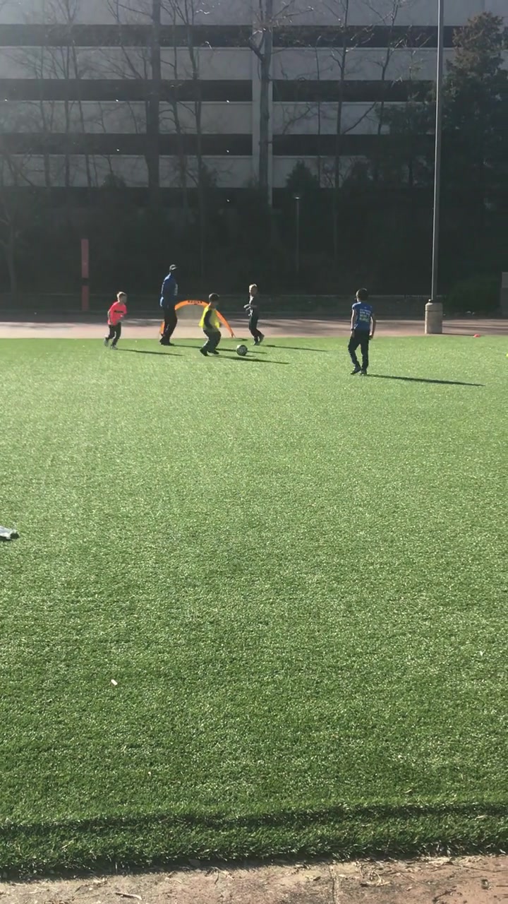 Field Drills