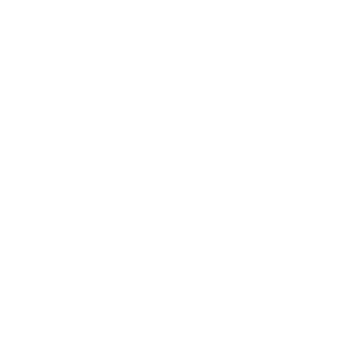 Layor Fit